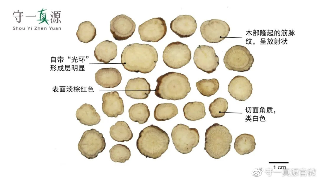 到市场仍存在滥用硫磺熏蒸加工白芍的现象,可通过颜色及味道进行辨别