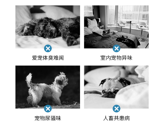 b6054cbfc0891d5098e784e21f8740972d7fb08b.png