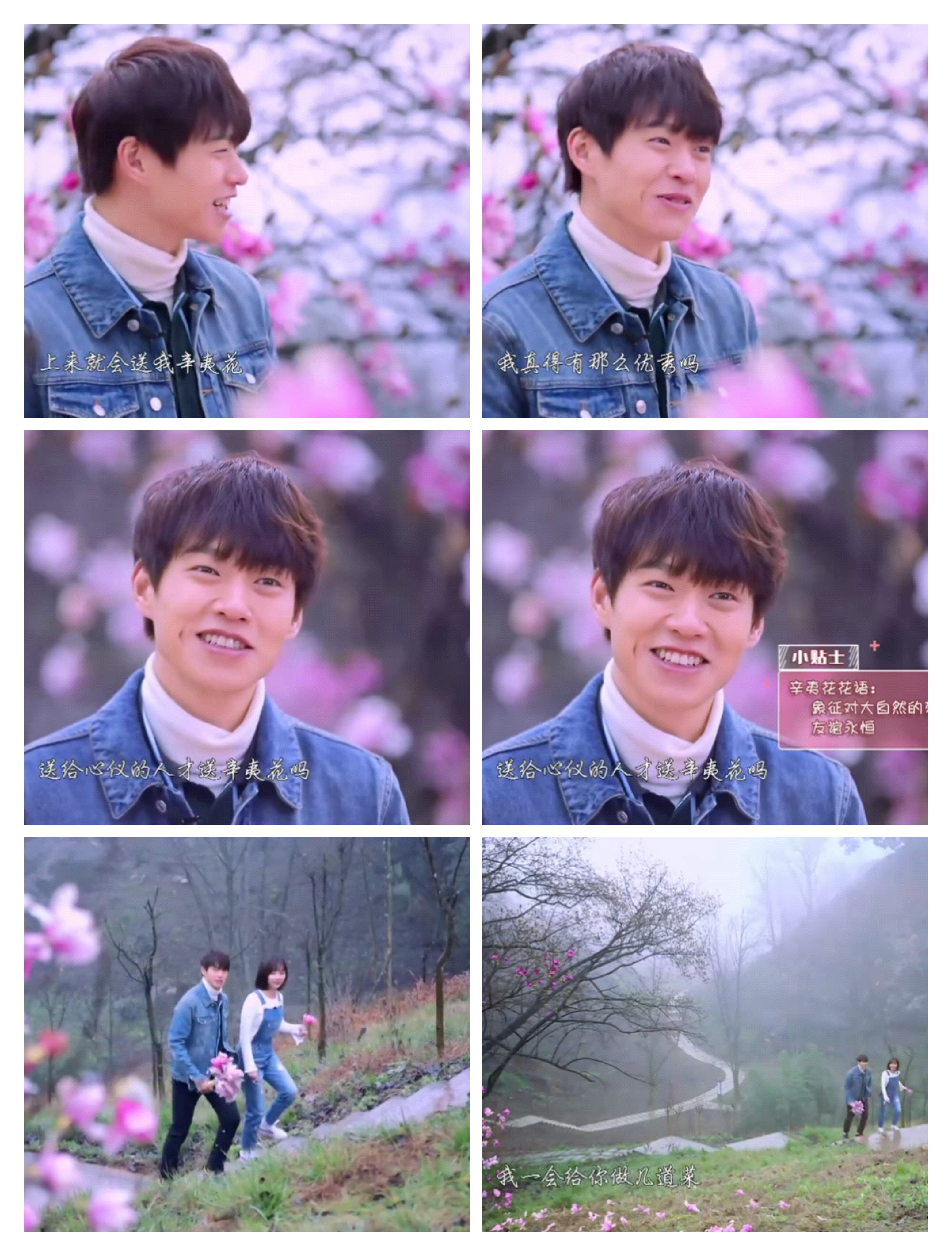 【魏大勋CP】谭松韵