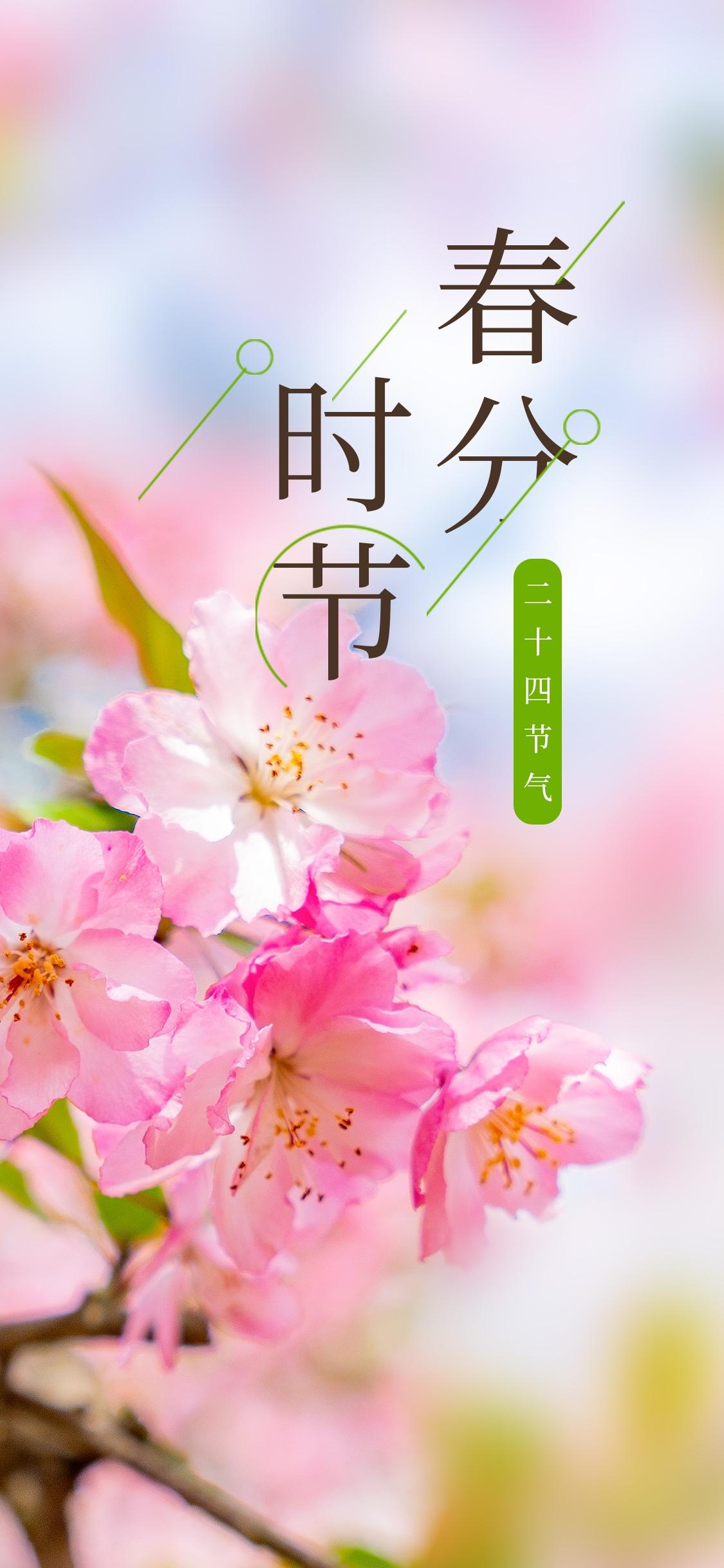 【美图分享33】2021春分图片大全~春分雨脚落声微,柳岸斜风带客归