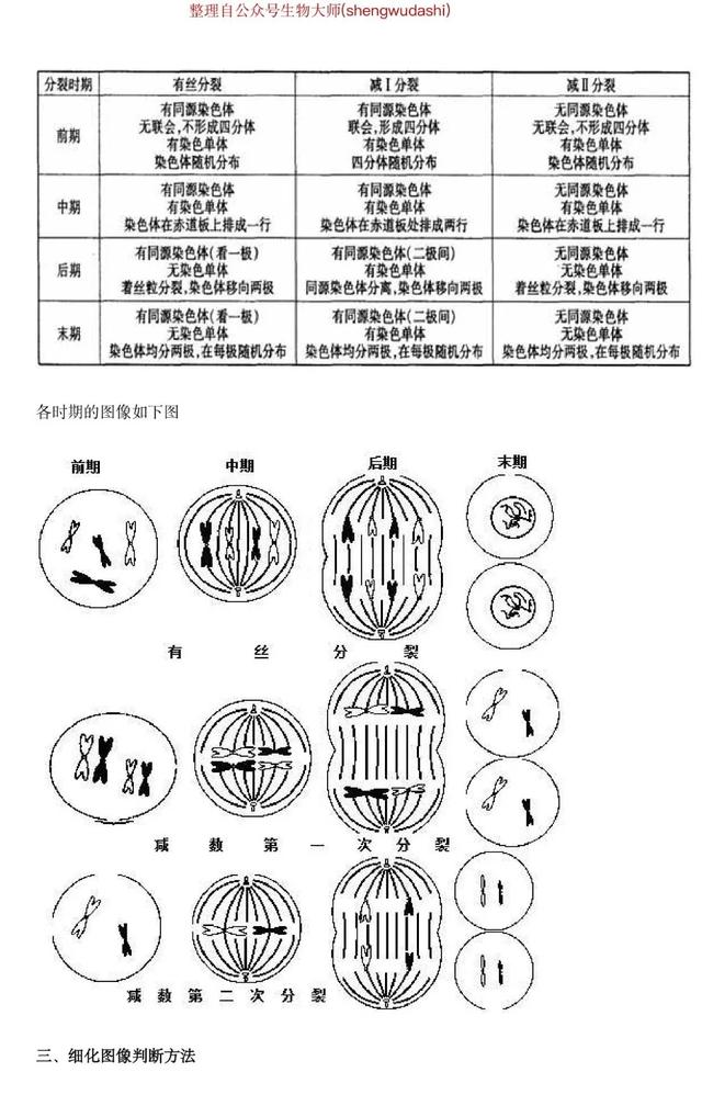 b6b3a40544128d5b82a644ad6052918cdb3debc0.jpg