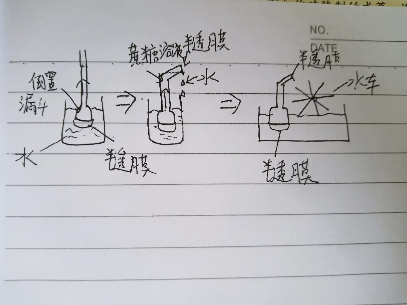 用半透膜过滤出水分子，而蔗糖分子数量不受影响，于是就有了以下装置：
