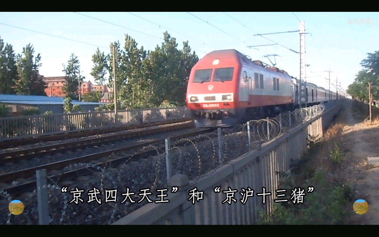 白皮火车(25t型客车)