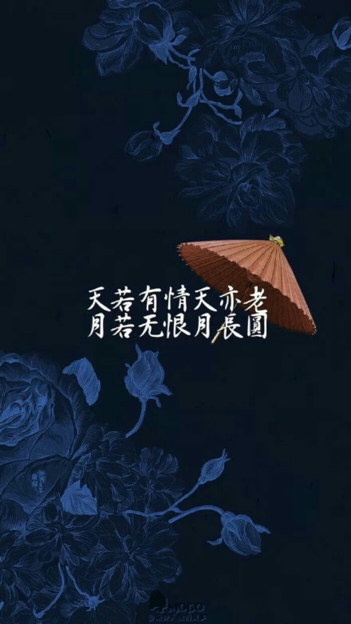 唯美古风句子,送给多愁善感的你