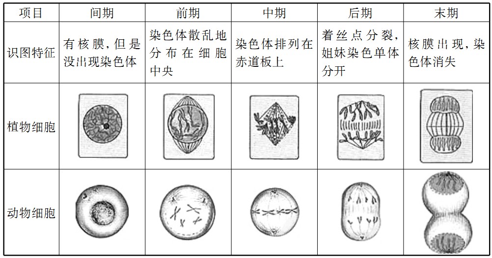 高中生物