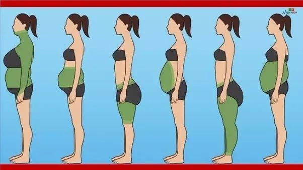 怎么样减掉大肚腩小学生 b7cf350eed7bb9f3da40a99c56ed72b5d6d7c217.jpg