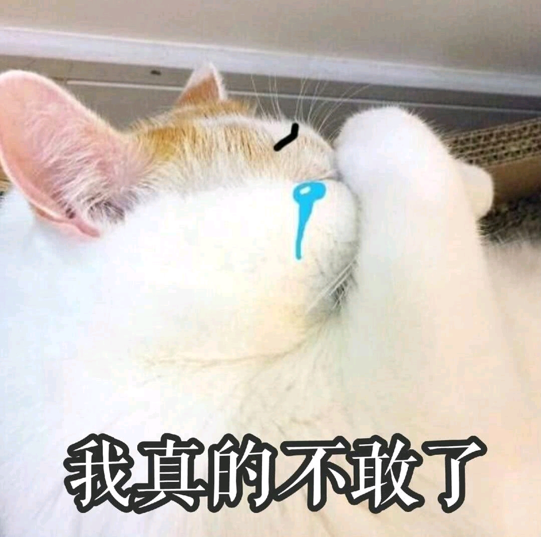喵喵的表情包 可能会发重复.见谅