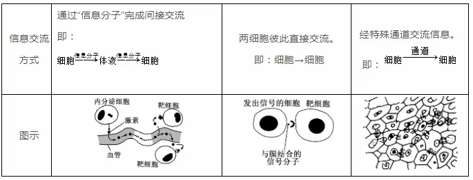 高中生物·细胞膜的结构和功能
