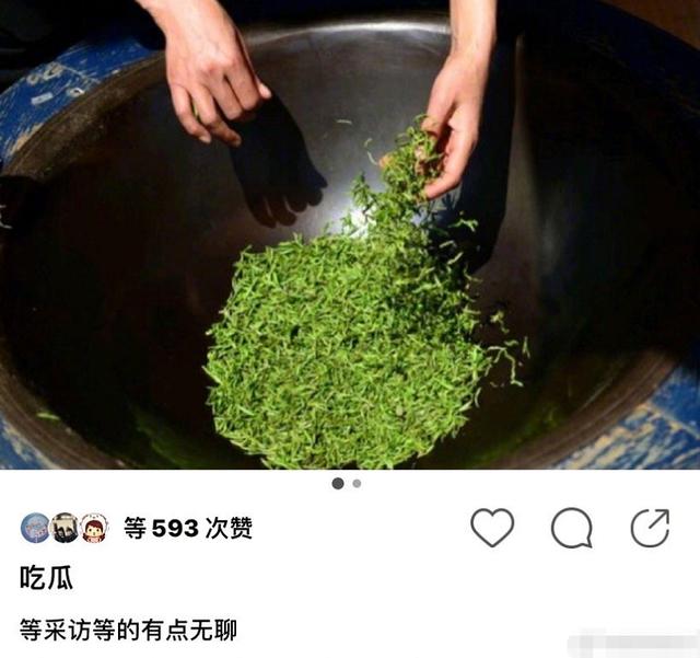 于正发"绿茶",到底是不是内涵赵露思?捋一捋于正赵露思的爱恨情仇