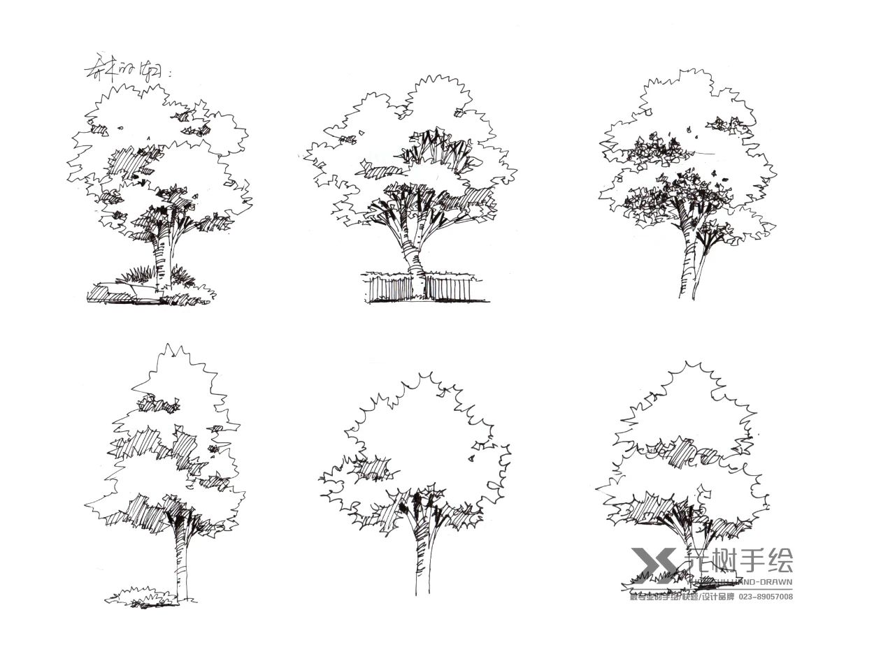 景观植物线稿分享