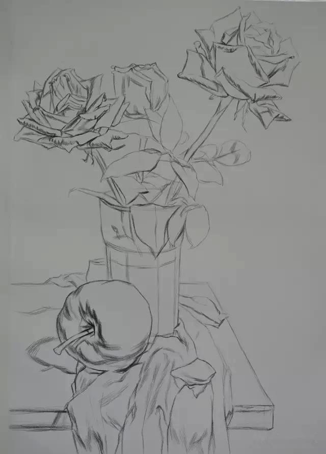 兴趣 绘画 美术生联考素描静物花卉的画法技巧和步骤 3,采取不同的