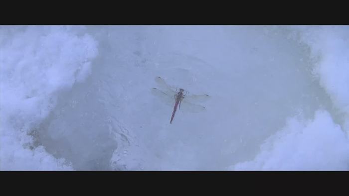 父亲是棵树电影 b83148352bc4fd270e5ed5dd59707c0322a0a522.jpg