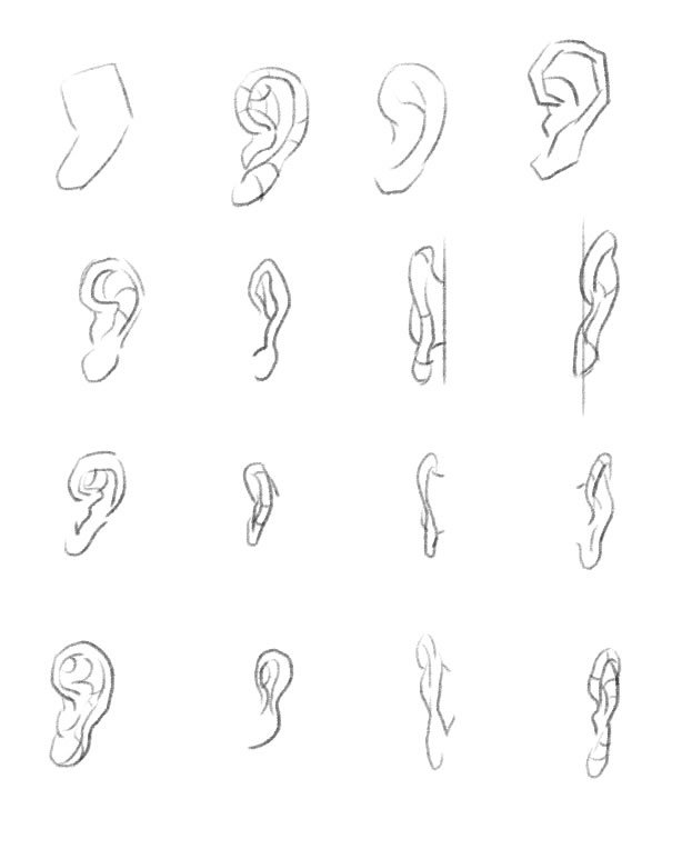 初学者画不好铅笔鼻子怎么办有哪些方法