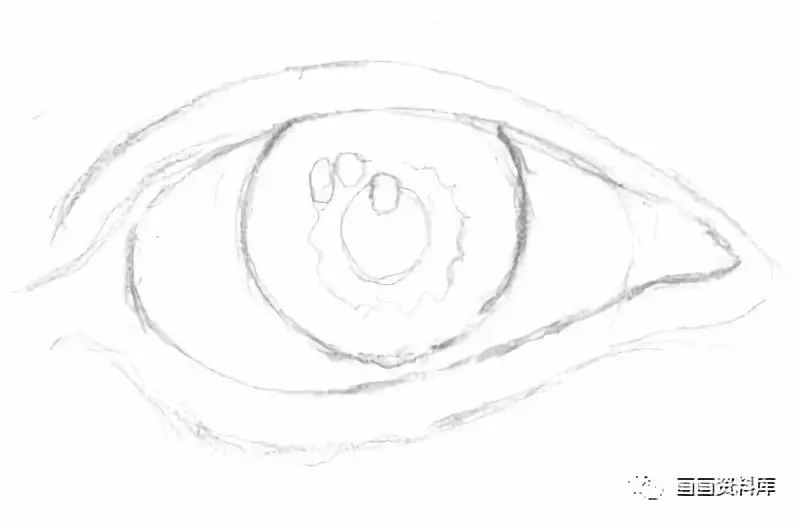 炯炯有神的眼睛│素描人物五官教程