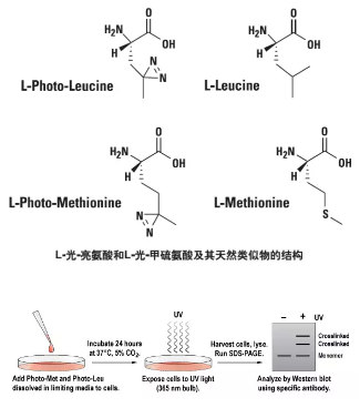 b8d4610a515386760c0b051177b7cd6f32849836.png