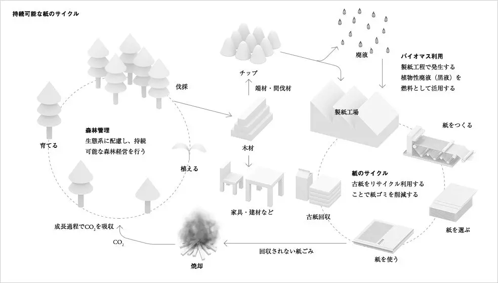 纸张的循环使用过程