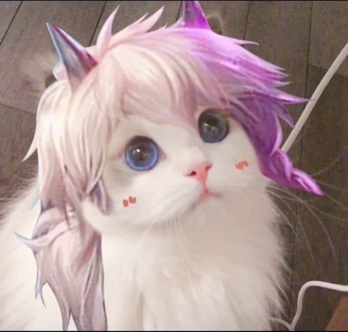 王者荣耀猫猫头像(第七弹)