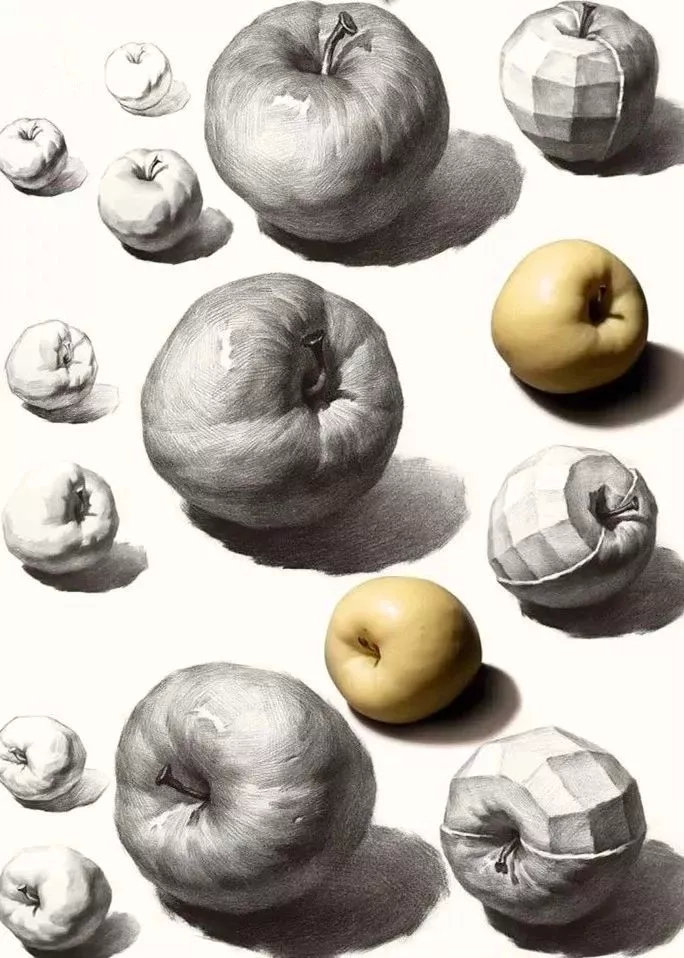 美术生最全面的素描苹果和梨子的画法