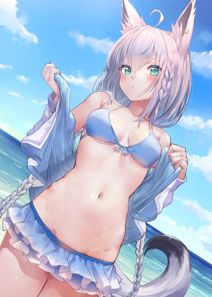 二次元兽娘大合集.