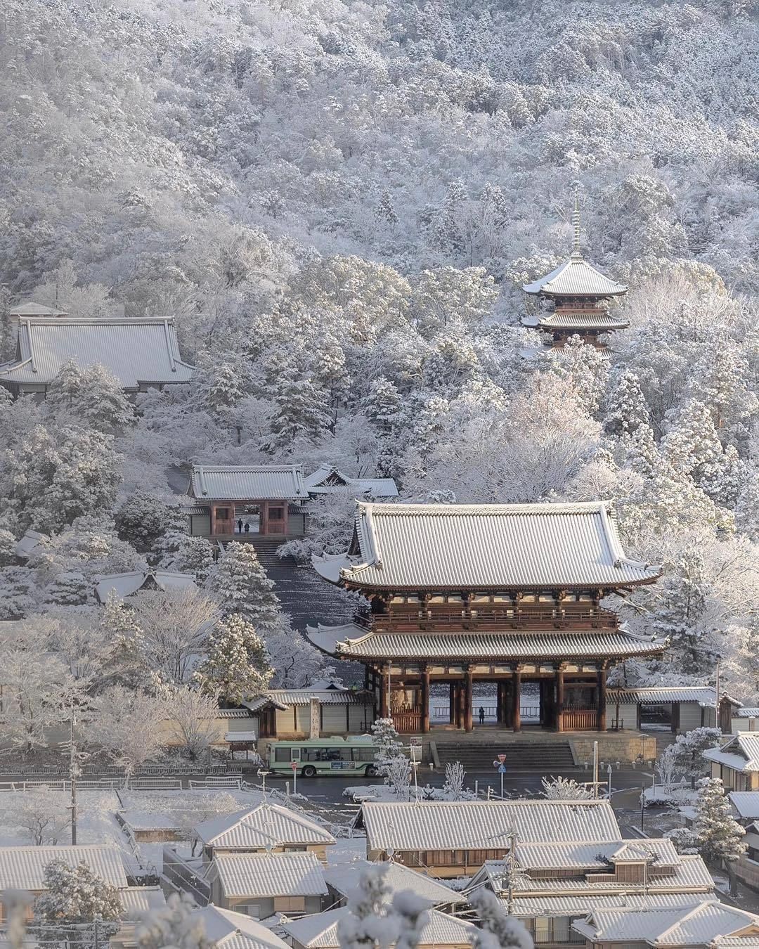 绘画参考东方韵味古风的雪景实拍图场景插画