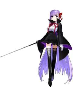 fate/extraccc人物简介重制版