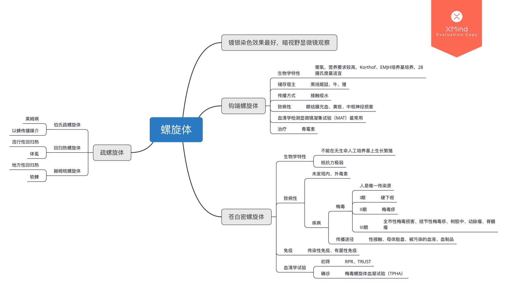 医学微生物思维导图一