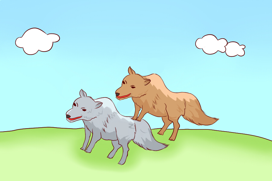 什么狼当什么成语(3)