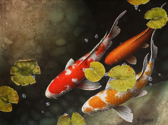 加拿大艺术家100张高清锦鲤临摹作品,"专治"不会画鲤鱼的小白