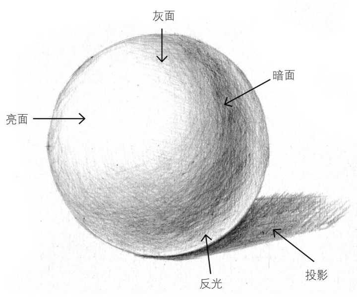 画画的重要元素,出来结构的准确,其次就是光影的运用啦~怎么画出立体