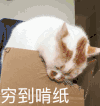 群内大佬的沙雕表情包第一百六十九期