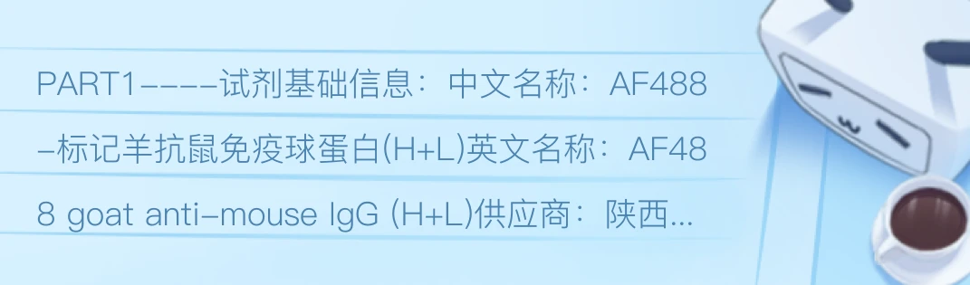 绿色荧光探针AF488 goat anti mouse IgG H L 标记羊抗鼠免疫球蛋白 H L 哔哩哔哩