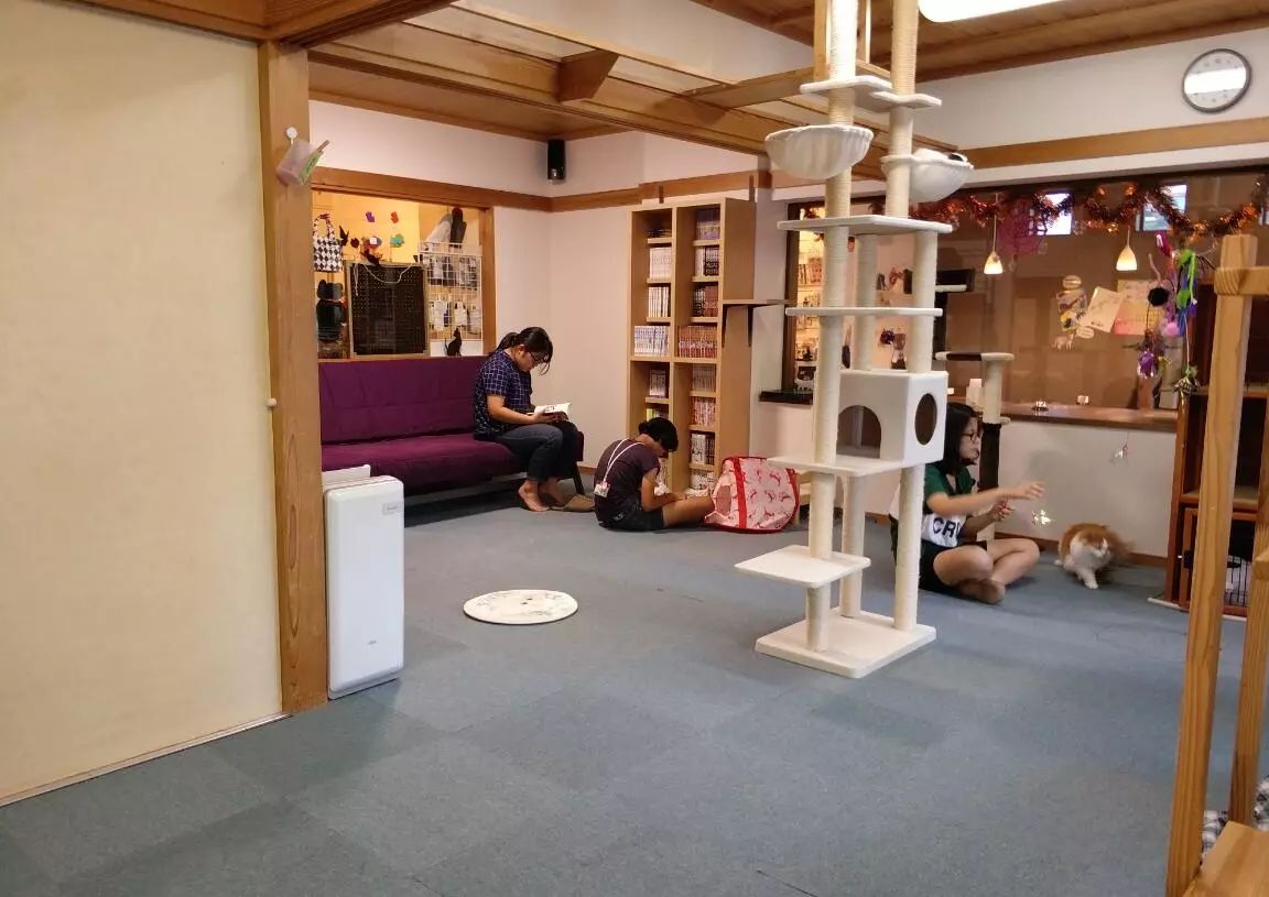 站在她们的角度,被关在房间里每天被迫接客,和失足妇女又有什么两样呢