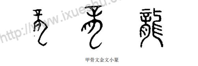 甲骨文时期的龙就可以明显看出是一条长着鹿角,长着大口,弓起长长身躯