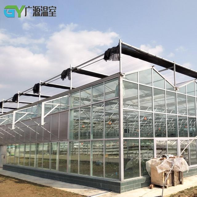 庄闲和游戏-东营交警