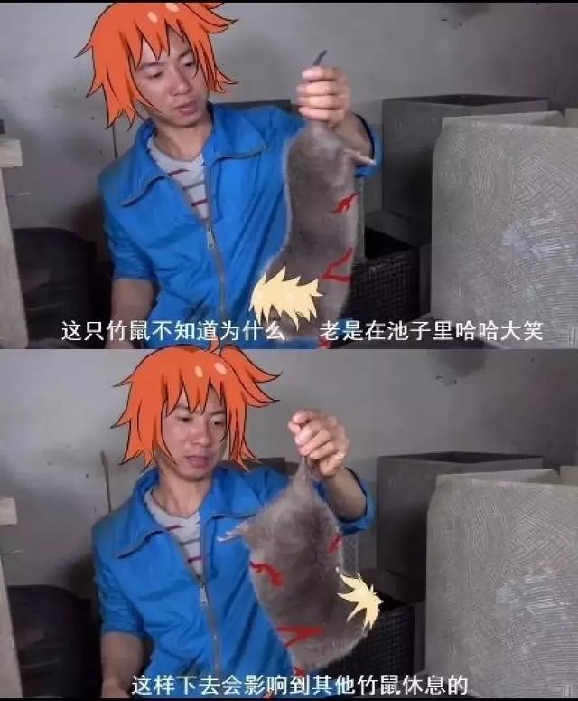 fgo沙雕图:哈哈队的魔性你不服不行!这是一期有声音的