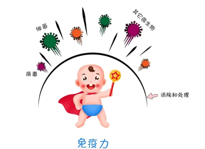 免疫力才是最好的药，送你一盒中成药，提高免疫力，病痛不找你！