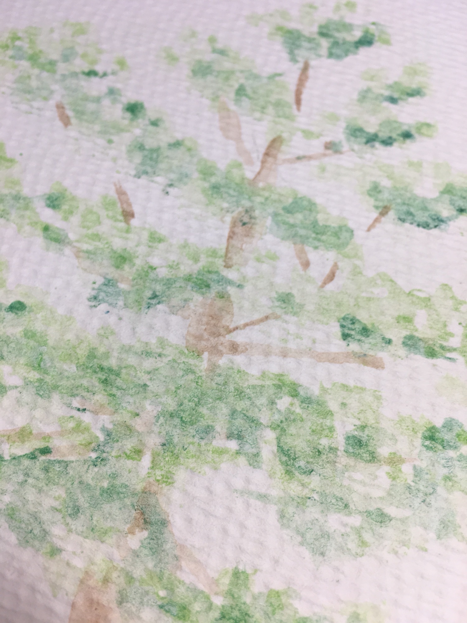 当樱花固体遇上粗纹水彩纸