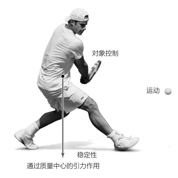 体育运动的基本动作技能浅述