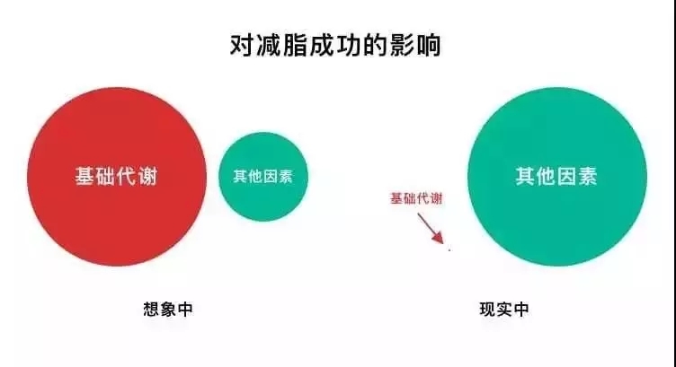bd4ab8493a291d215a9d01ce55182598111837f1.jpg