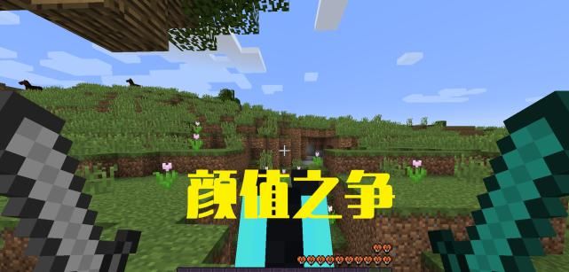 我的世界:沙雕网友干沙雕事情,用火把烤肉,往房顶上倒