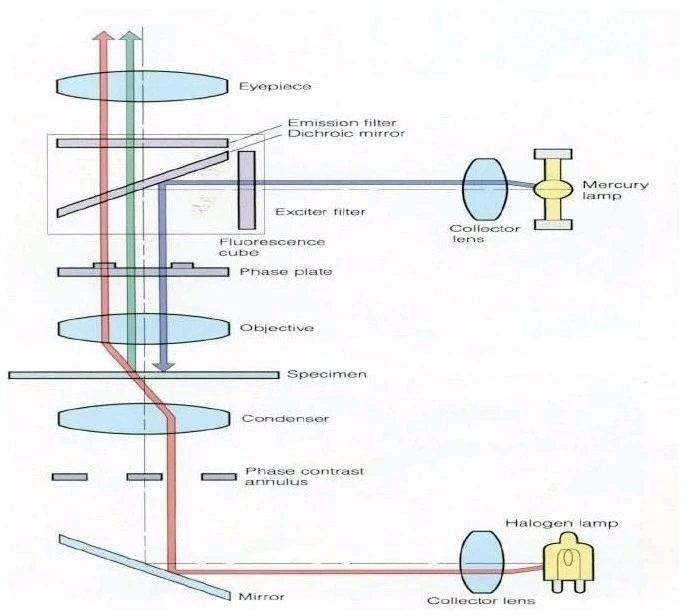 bda3733a44a4db0ca5e7a92c1245b905945bc450.jpg