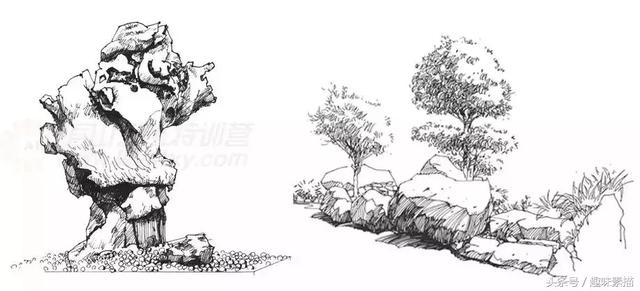 练完这些植物手绘,麻麻再也不用担心我画不好风景速写啦!