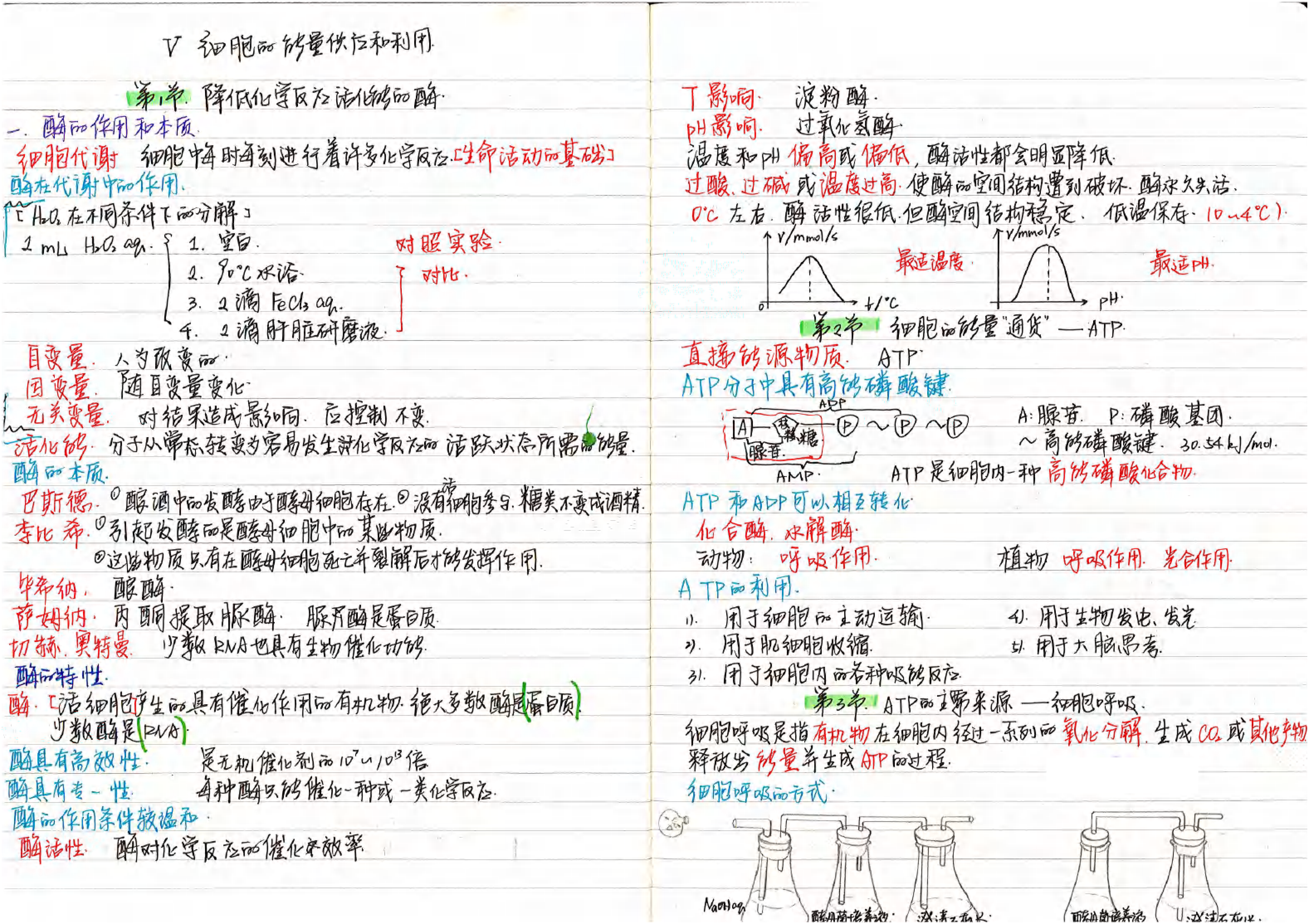 清北学霸生物笔记,满分攻略,高中生不容错过