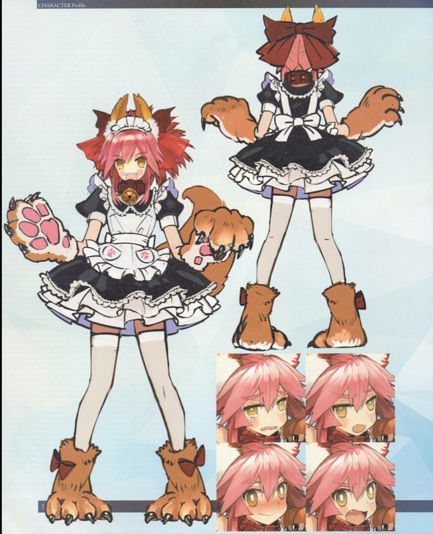 fgo设定 玉藻猫