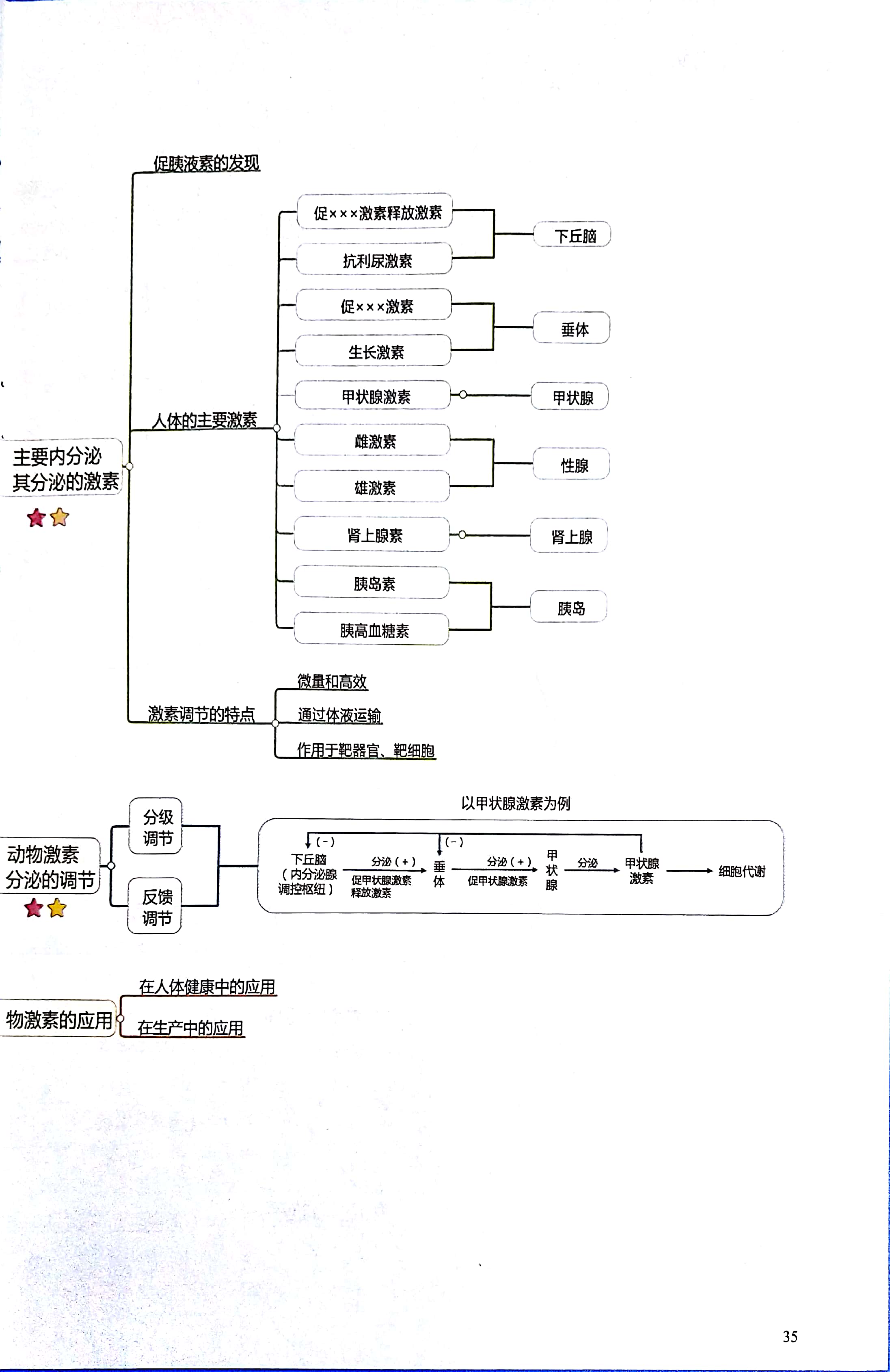 高中生物思维导图