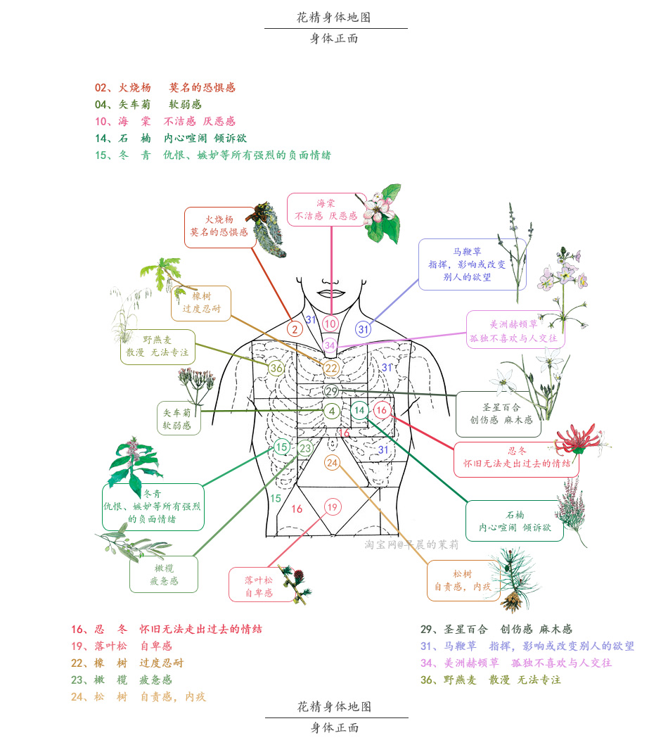 花精附录:情绪自测详表 & 身体地图