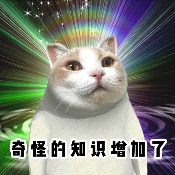 奇怪的小猫咪增加了!当米勒发现自己才是一家之主.