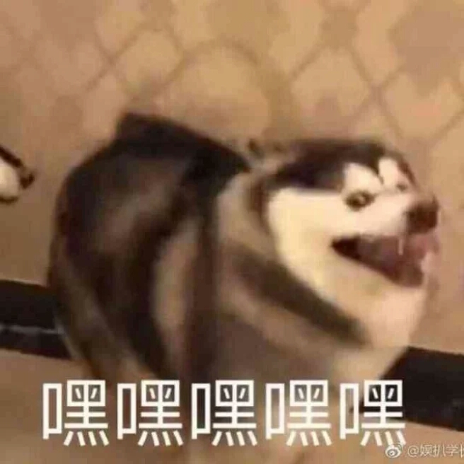 嘿嘿嘿嘿嘿嘿嘿