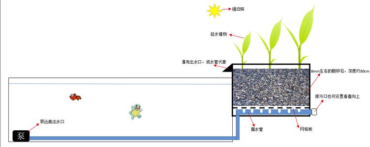 沼泽过滤原理