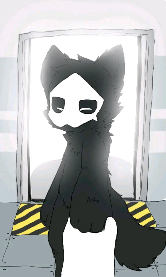 changed图——往期作品的封面
